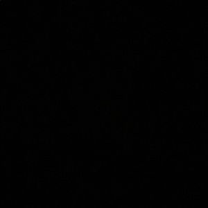 Meet your Posher, Ashlyn